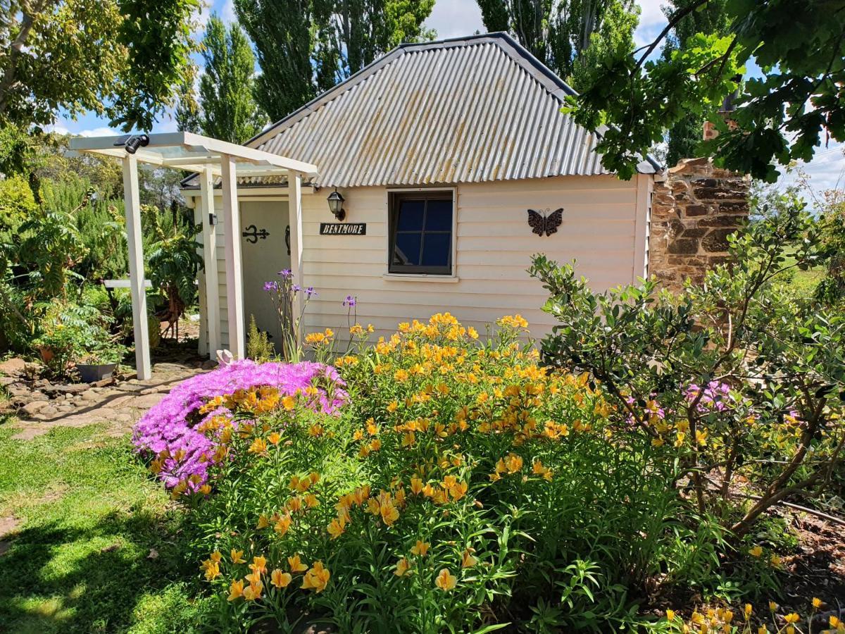 Belmont Homestead Swansea Luaran gambar